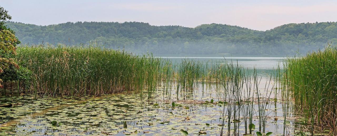 Der Schermützelsee, Quelle: «© A.Savin, Wikimedia Commons»